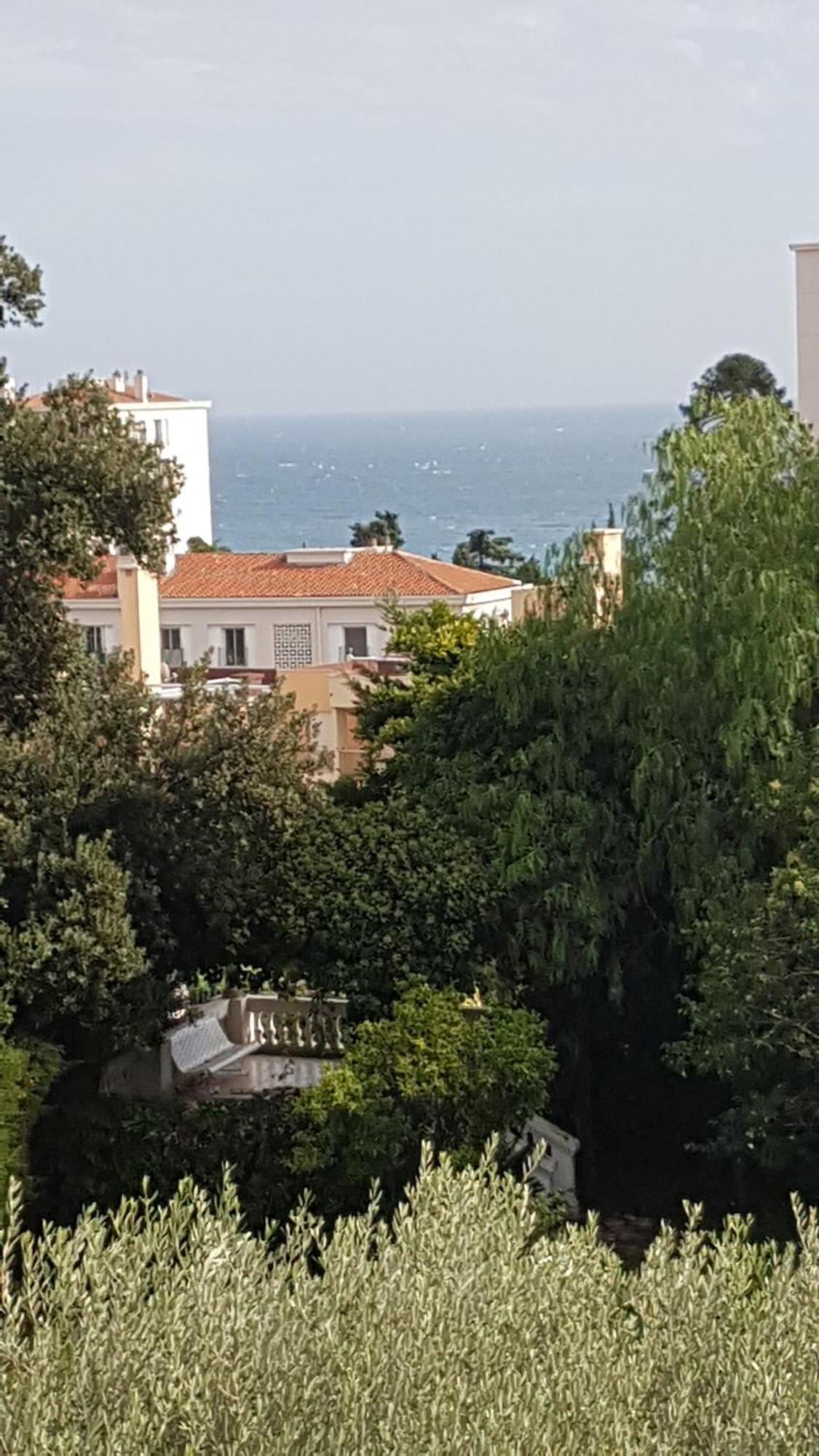 Les Palmiers A 700M De La Mer Nice Room photo