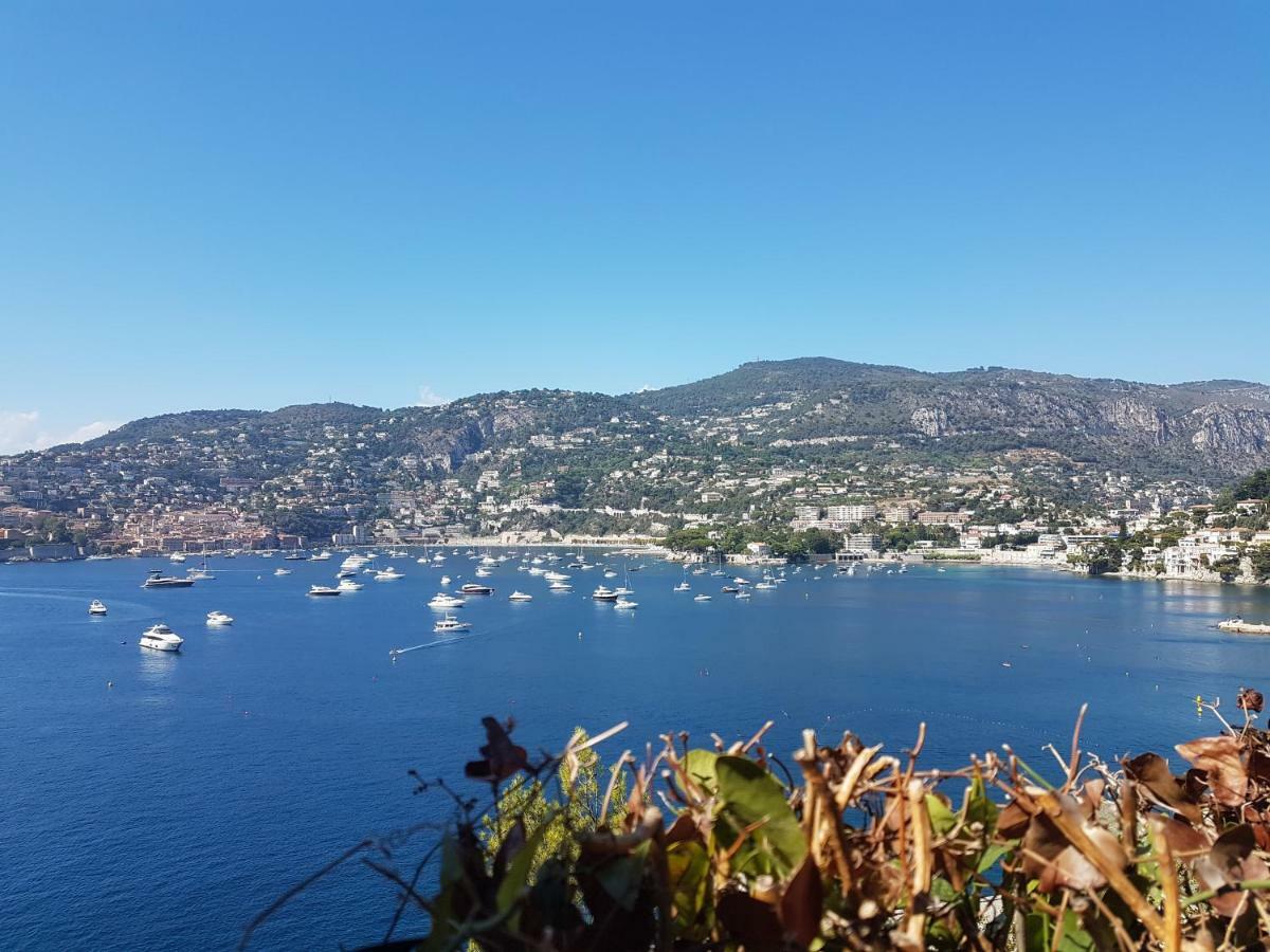 Les Palmiers A 700M De La Mer Nice Exterior photo