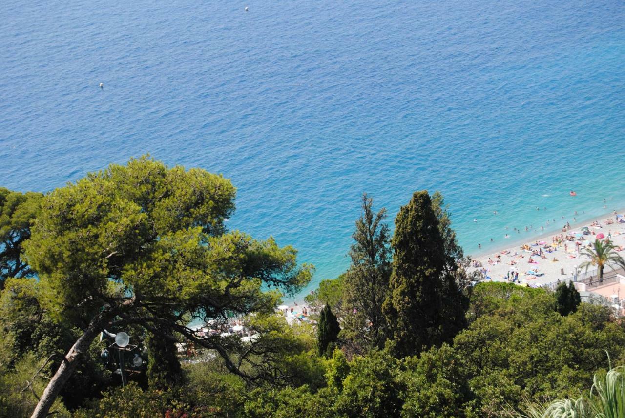Les Palmiers A 700M De La Mer Nice Exterior photo